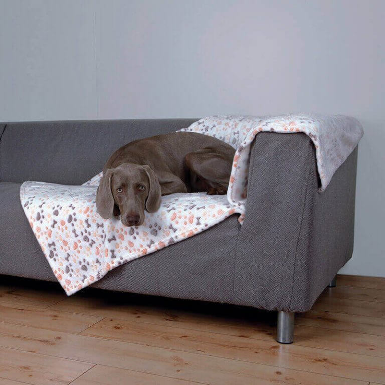Dog Blankets