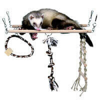 Ferret Size Toys