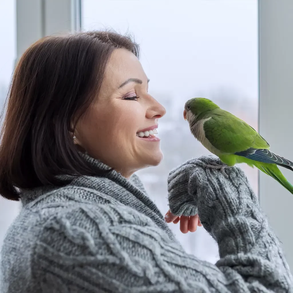Birds