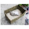 Hamster Sand Bath