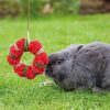 Rosewood Small Animal Wreath Edible Christmas Toy
