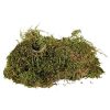 Trixie Terranium Moss