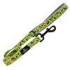 Ancol Soho Dinosaur Nylon Dog Lead