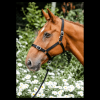 Economy Webbing Headcollar PONY BLACK