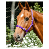 Economy Webbing Headcollar PONY PURPLE